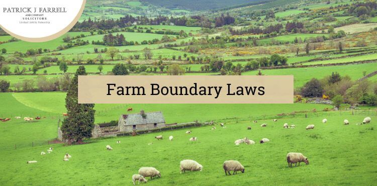 Farm Boundaries & Farming Law in Ireland